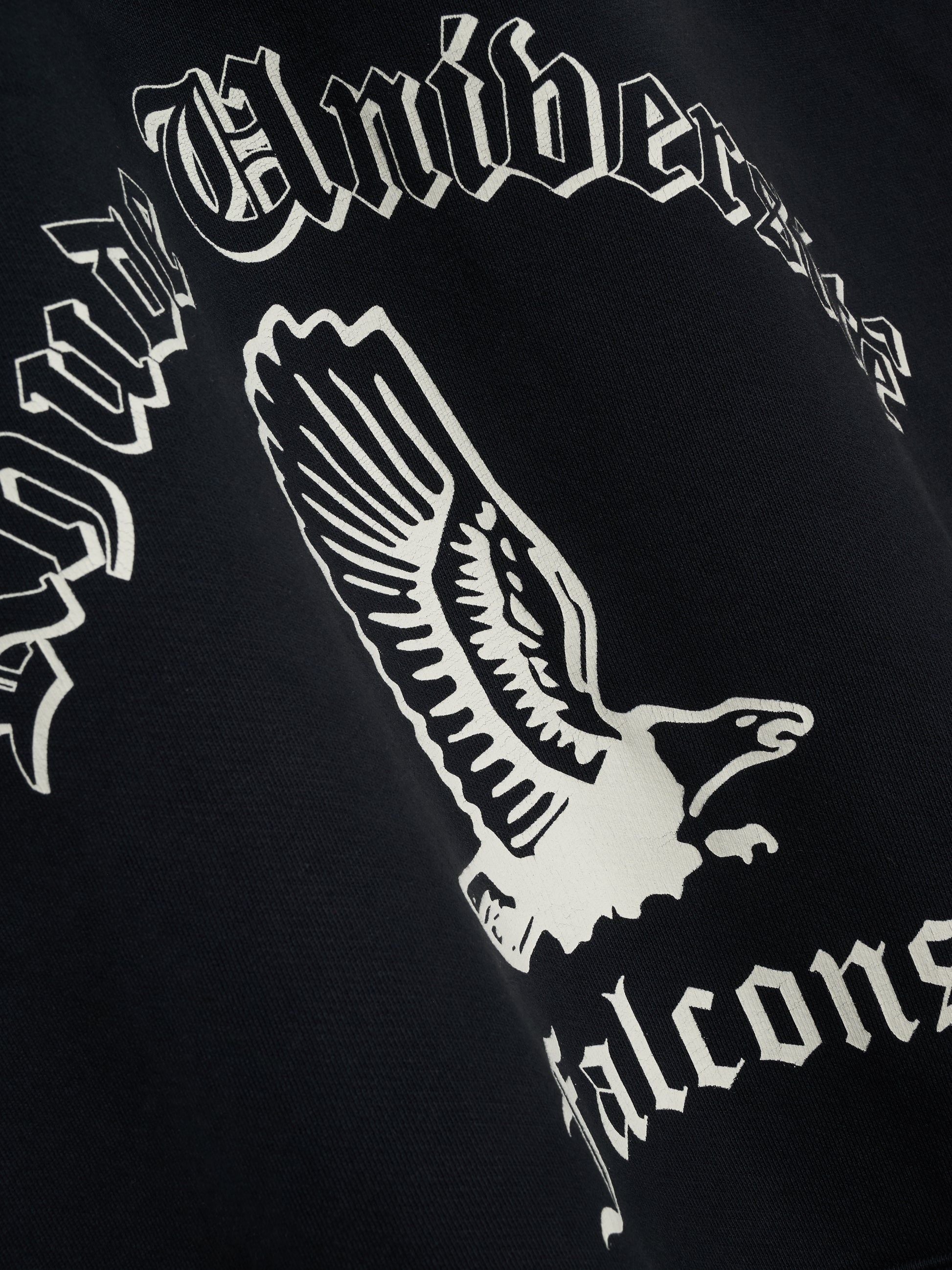 COLLEGIATE FALCONS HOODIE